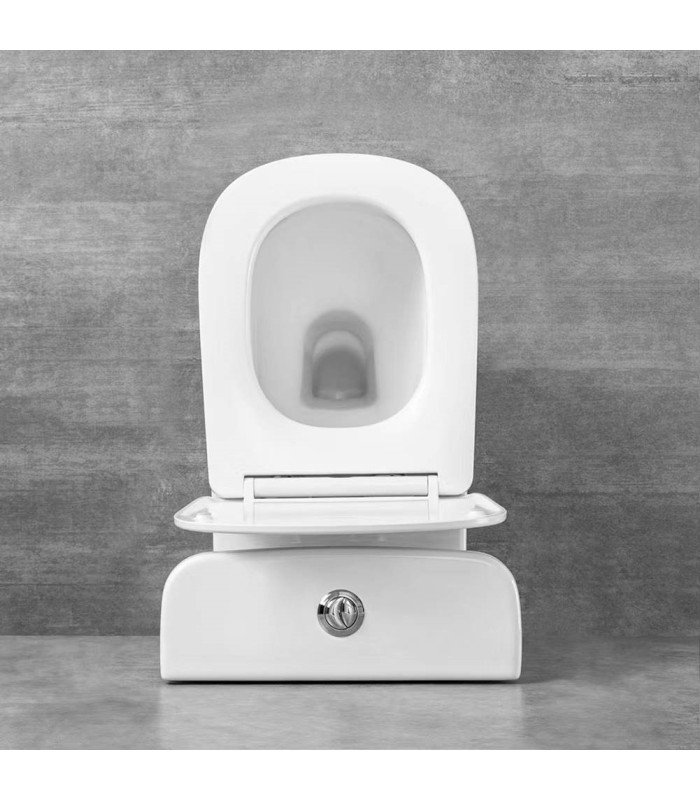 Pack Inodoro completo compacto tapa con asiento amortiguada en PP, cisterna con mecanismos ECO, adosado a pared BTW