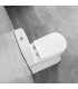 Pack Inodoro completo compacto tapa con asiento amortiguada en PP, cisterna con mecanismos ECO, adosado a pared BTW