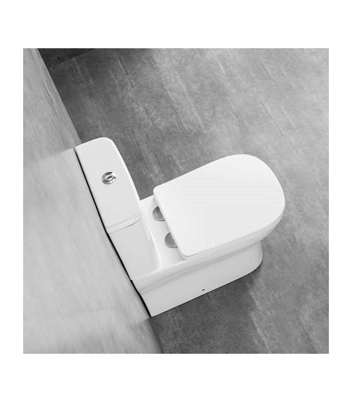 Pack Inodoro completo compacto tapa con asiento amortiguada en PP, cisterna con mecanismos ECO, adosado a pared BTW