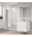 Mueble de baño en conjunto Venecia, dos colores disponibles incluye encimera de porcelana y espejo 2 cajones